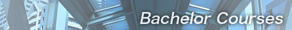 Bachelor Courses
